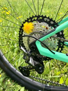 Orbea Alma M-Team